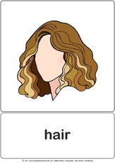 Bildkarte - hair.pdf